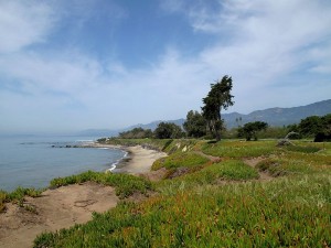 Carpinteria