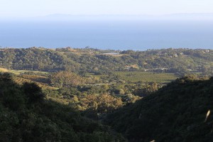 Montecito